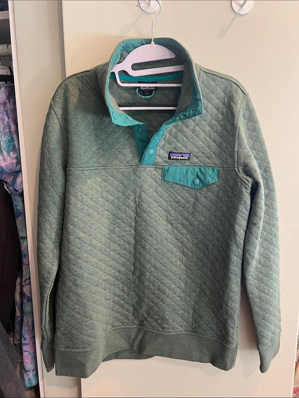 Patagonia Organic Cotton Quilt Snap-T Pullover